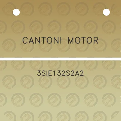 cantoni-motor-3sie132s2a2