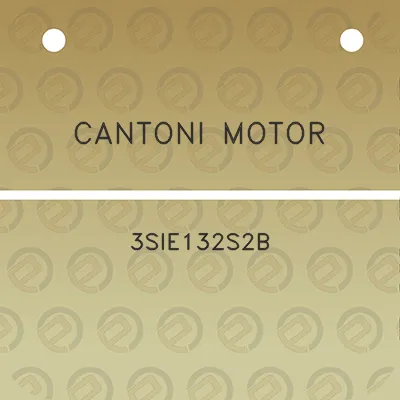 cantoni-motor-3sie132s2b