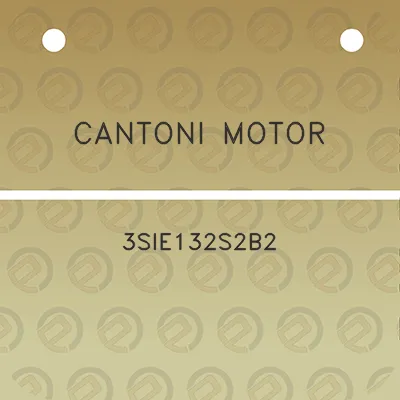 cantoni-motor-3sie132s2b2