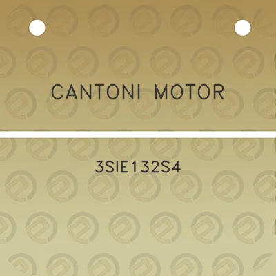 cantoni-motor-3sie132s4