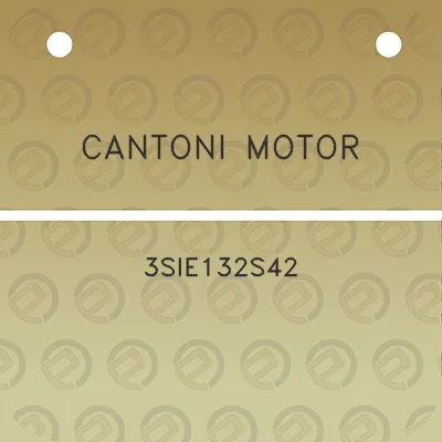 cantoni-motor-3sie132s42