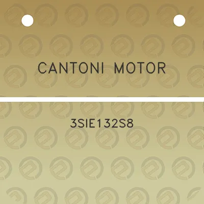 cantoni-motor-3sie132s8