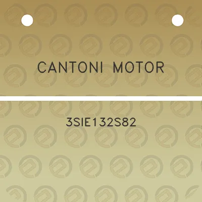 cantoni-motor-3sie132s82