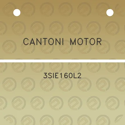 cantoni-motor-3sie160l2