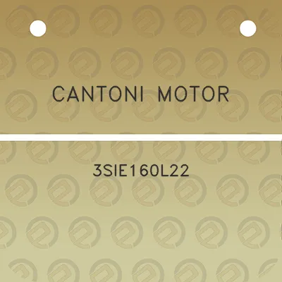 cantoni-motor-3sie160l22