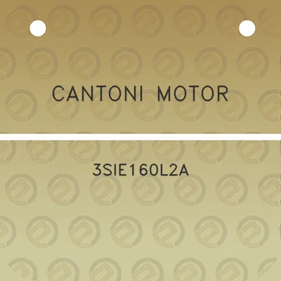 cantoni-motor-3sie160l2a