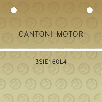 cantoni-motor-3sie160l4