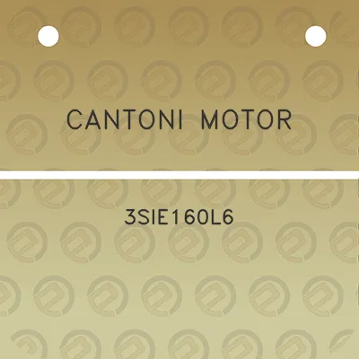 cantoni-motor-3sie160l6