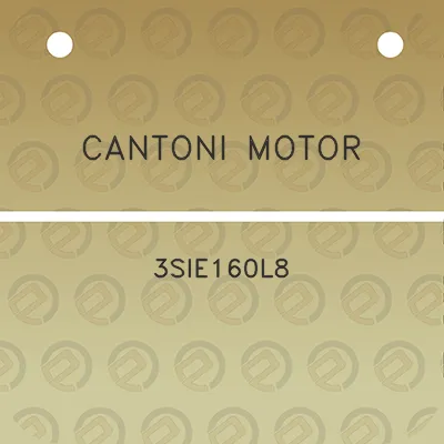 cantoni-motor-3sie160l8