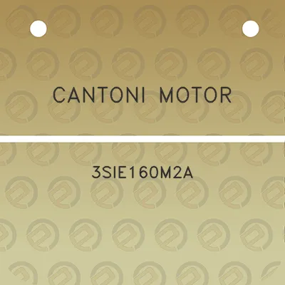 cantoni-motor-3sie160m2a