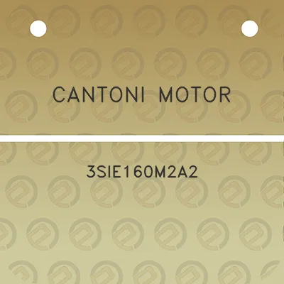 cantoni-motor-3sie160m2a2