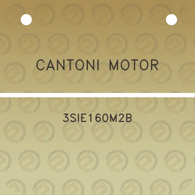 cantoni-motor-3sie160m2b