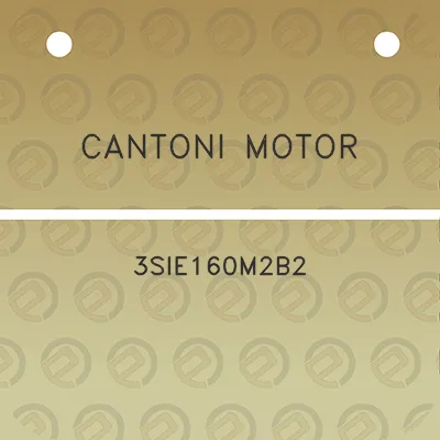 cantoni-motor-3sie160m2b2