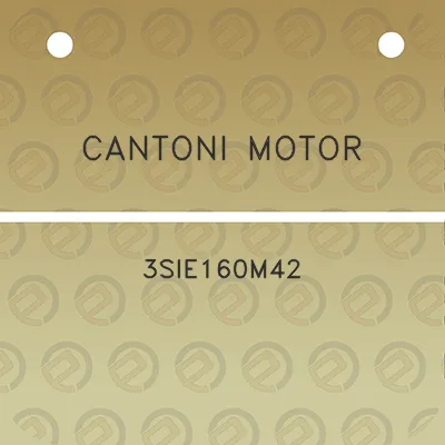 cantoni-motor-3sie160m42