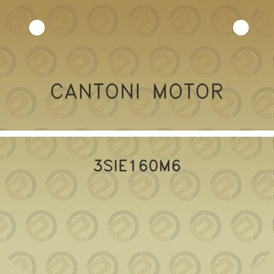 cantoni-motor-3sie160m6