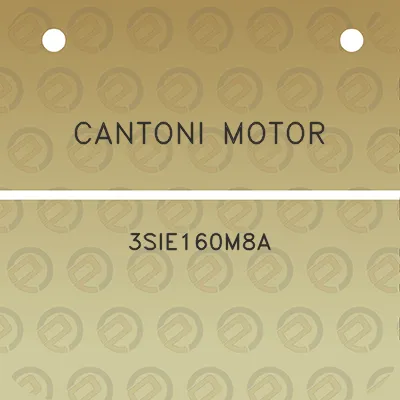 cantoni-motor-3sie160m8a