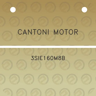 cantoni-motor-3sie160m8b