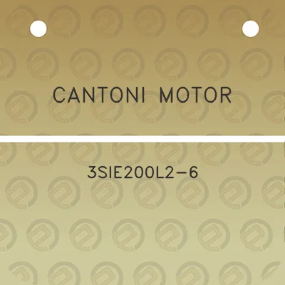 cantoni-motor-3sie200l2-6