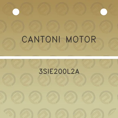 cantoni-motor-3sie200l2a