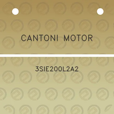 cantoni-motor-3sie200l2a2