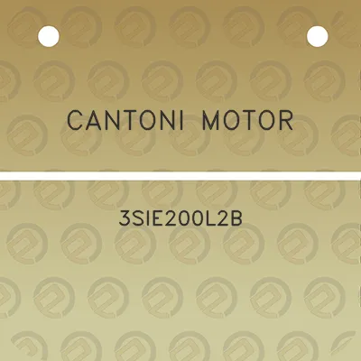 cantoni-motor-3sie200l2b