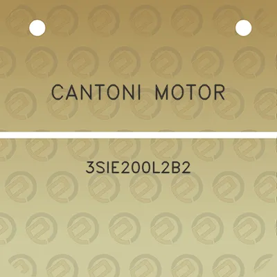 cantoni-motor-3sie200l2b2