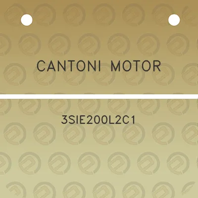 cantoni-motor-3sie200l2c1