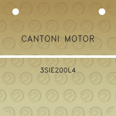 cantoni-motor-3sie200l4