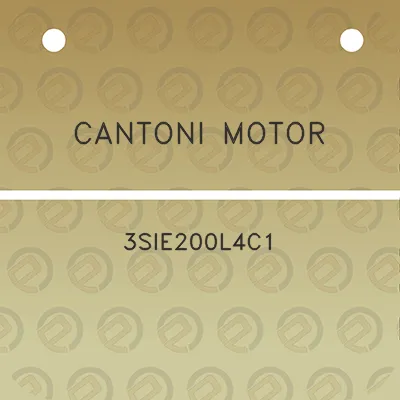 cantoni-motor-3sie200l4c1