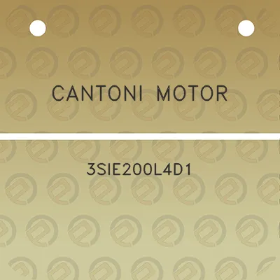 cantoni-motor-3sie200l4d1