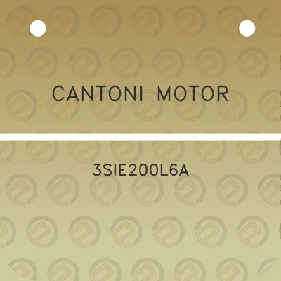 cantoni-motor-3sie200l6a