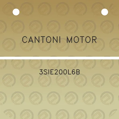 cantoni-motor-3sie200l6b