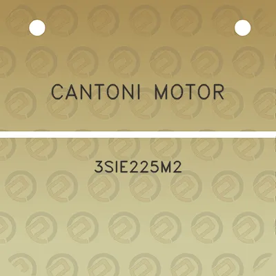 cantoni-motor-3sie225m2