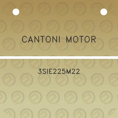 cantoni-motor-3sie225m22