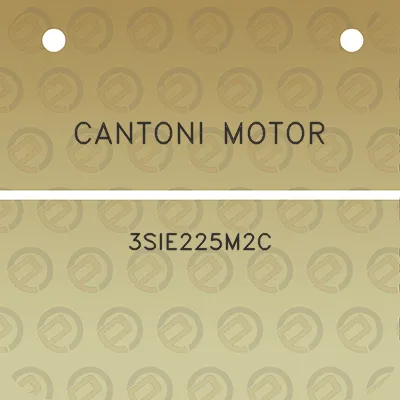 cantoni-motor-3sie225m2c