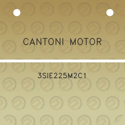 cantoni-motor-3sie225m2c1