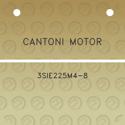 cantoni-motor-3sie225m4-8