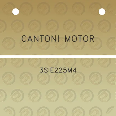 cantoni-motor-3sie225m4