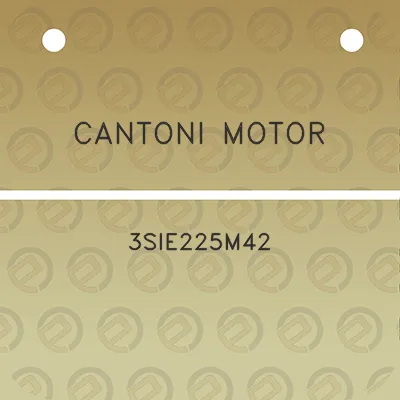 cantoni-motor-3sie225m42