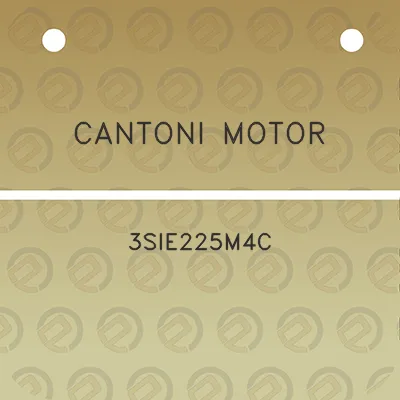 cantoni-motor-3sie225m4c