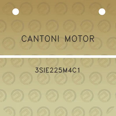 cantoni-motor-3sie225m4c1