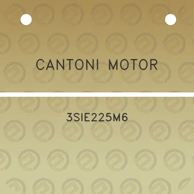 cantoni-motor-3sie225m6