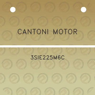 cantoni-motor-3sie225m6c