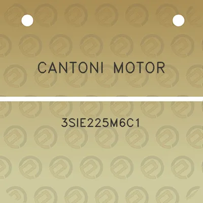 cantoni-motor-3sie225m6c1