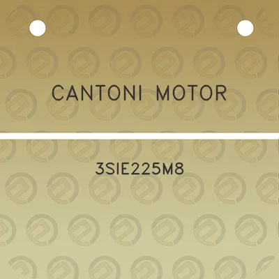 cantoni-motor-3sie225m8