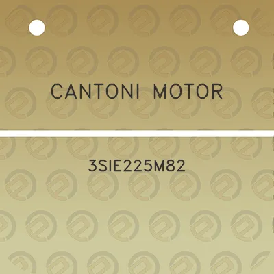 cantoni-motor-3sie225m82