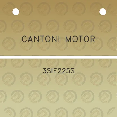 cantoni-motor-3sie225s