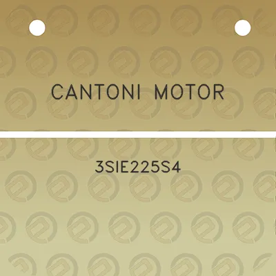 cantoni-motor-3sie225s4