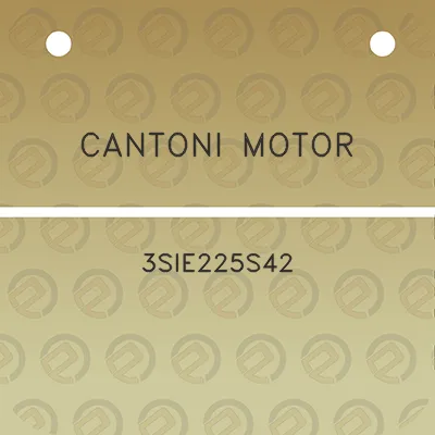 cantoni-motor-3sie225s42