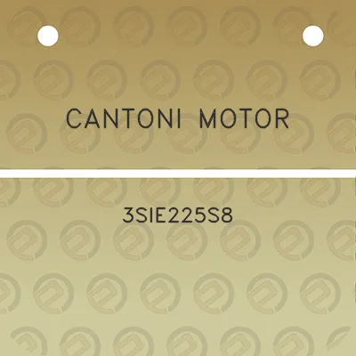 cantoni-motor-3sie225s8